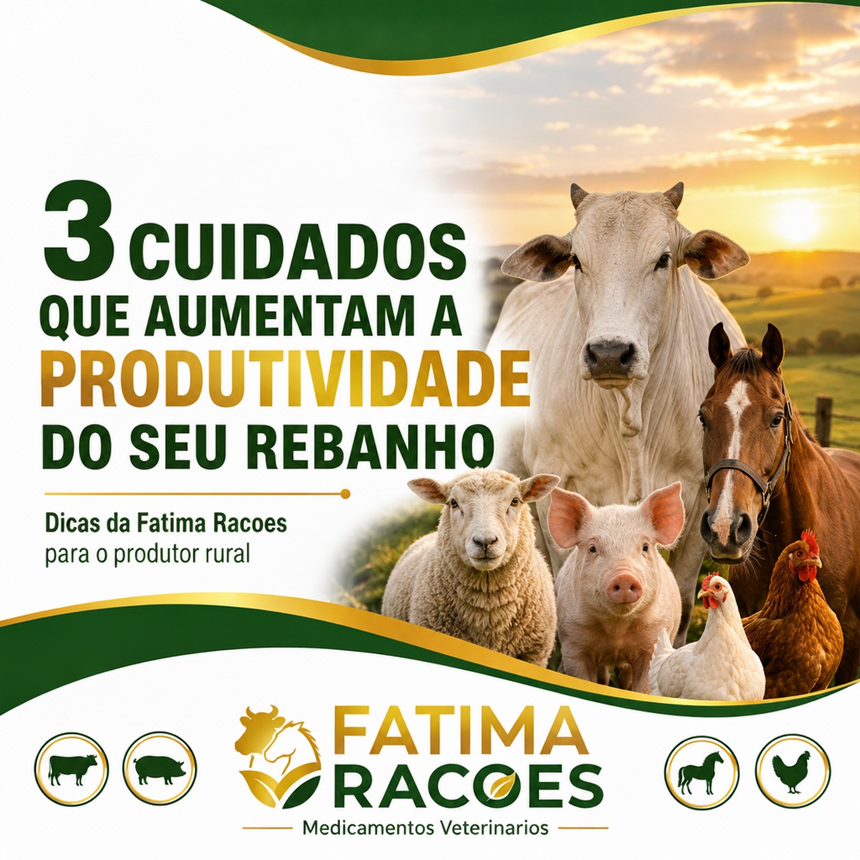 Carrossel Fátima Rações